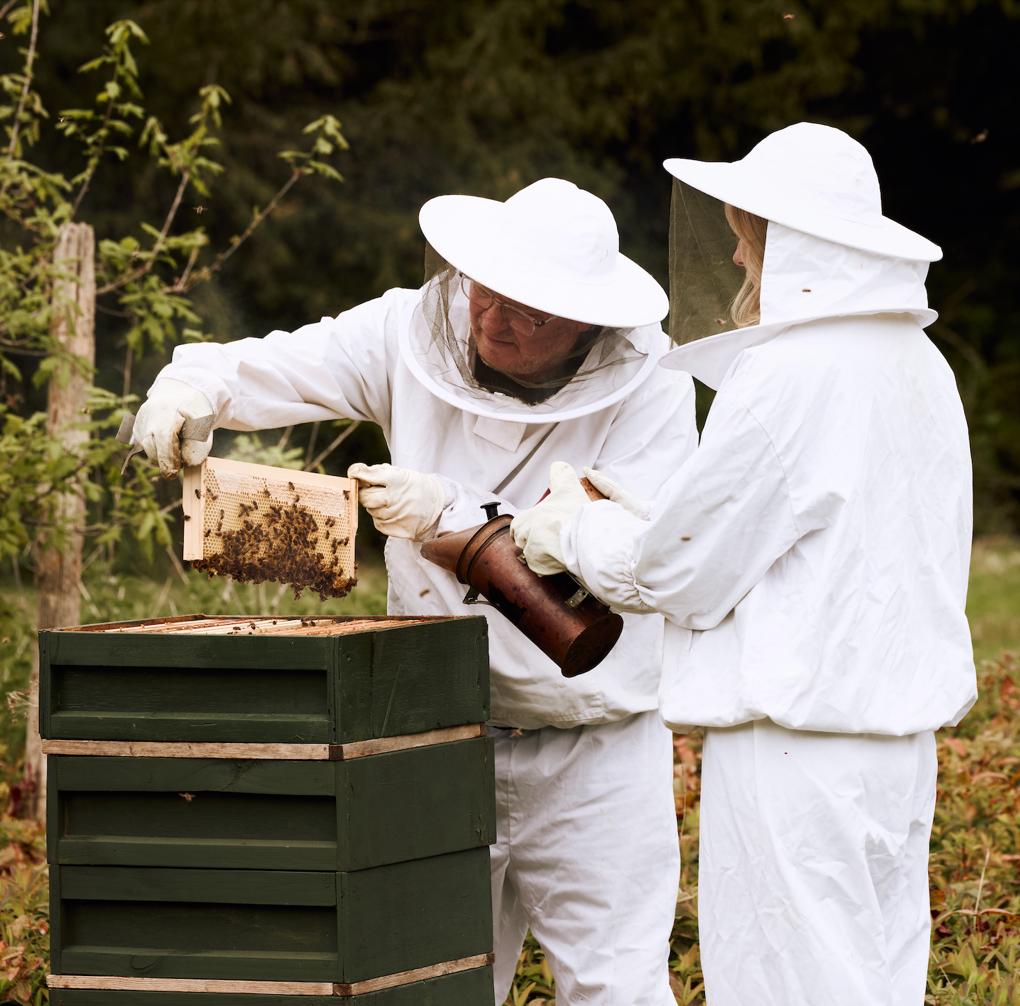Beekeeping Experience Voucher