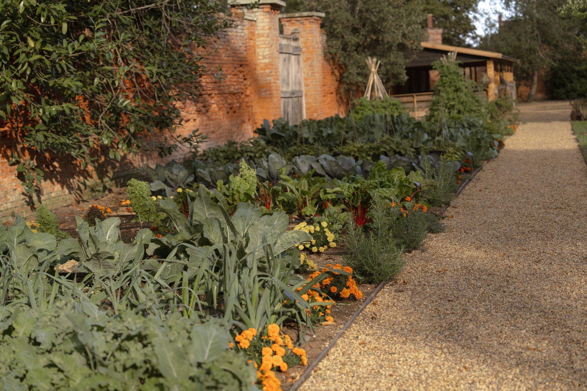 Walled Garden Open Day - 20th of September