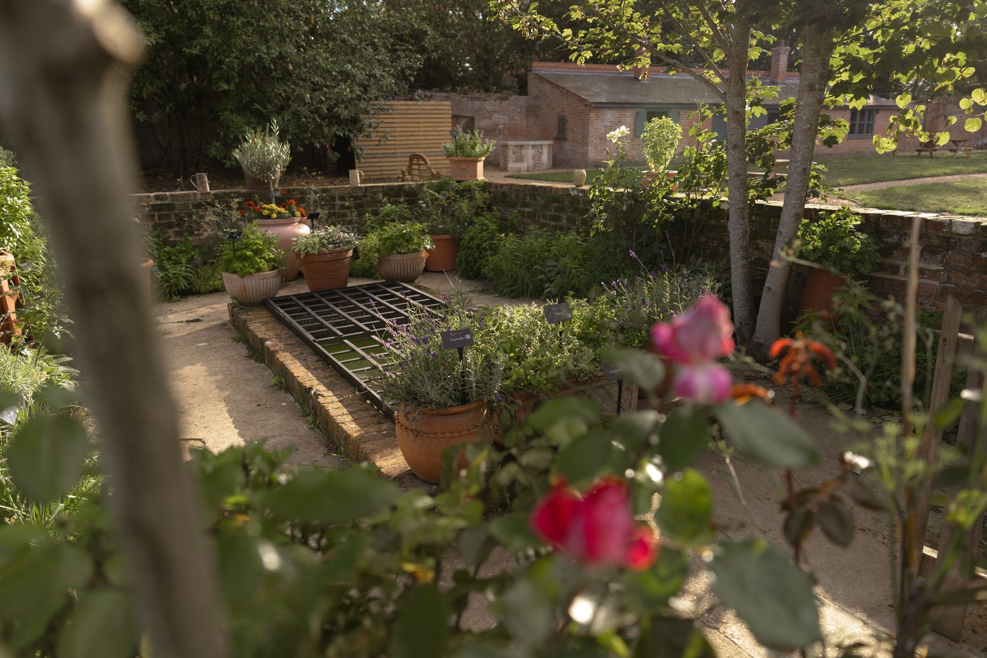 Walled Garden Open Day - 20th of September