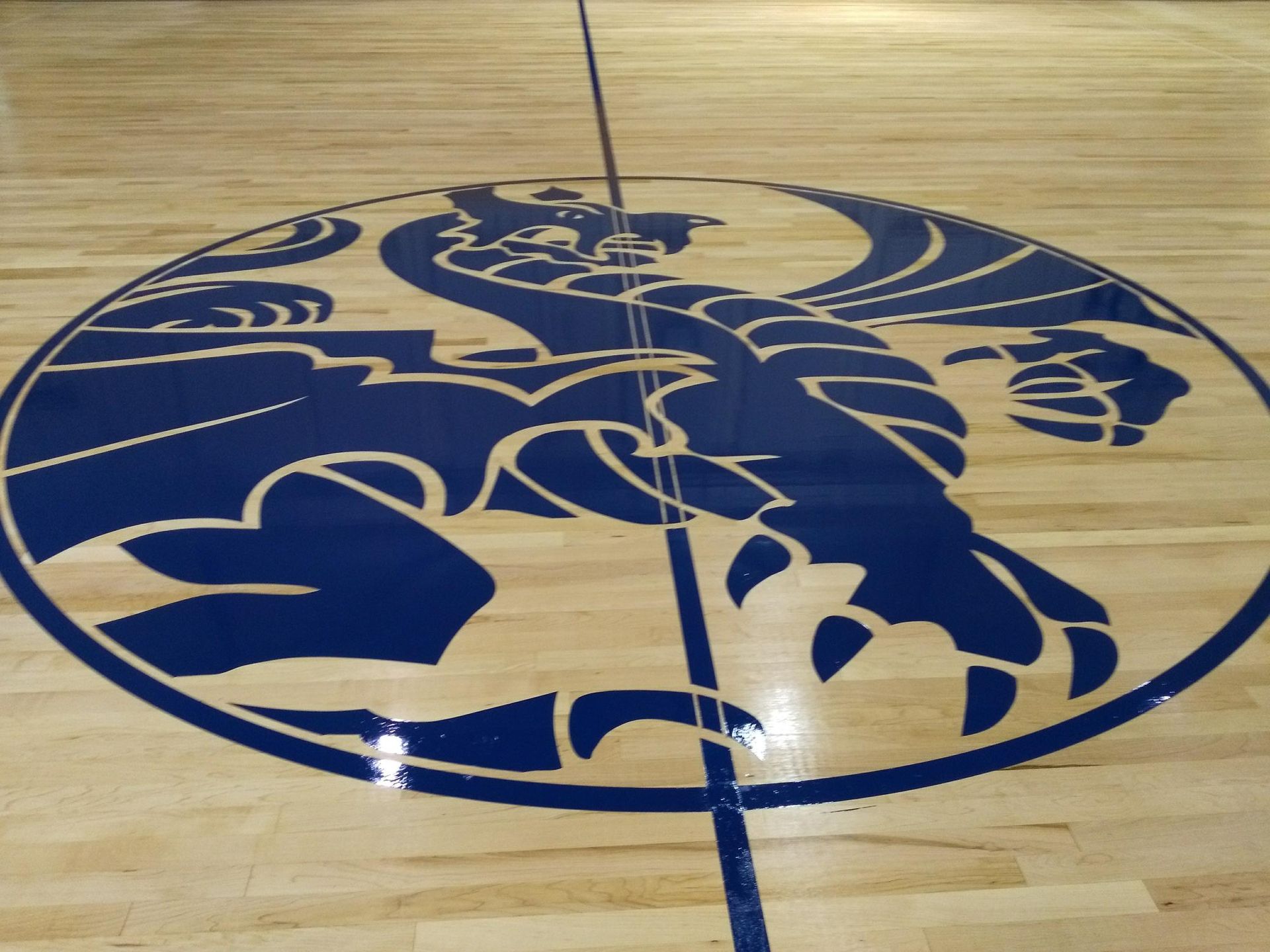 Gyms & Fitness Centers