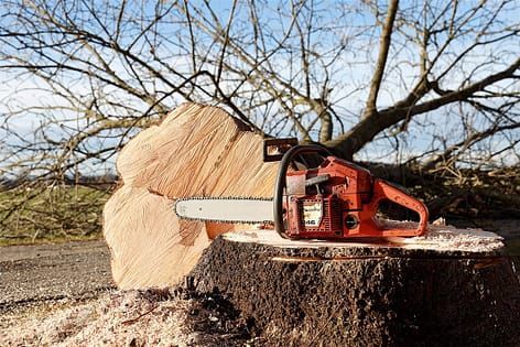 a chainsaw is sitting on top of a tree stump