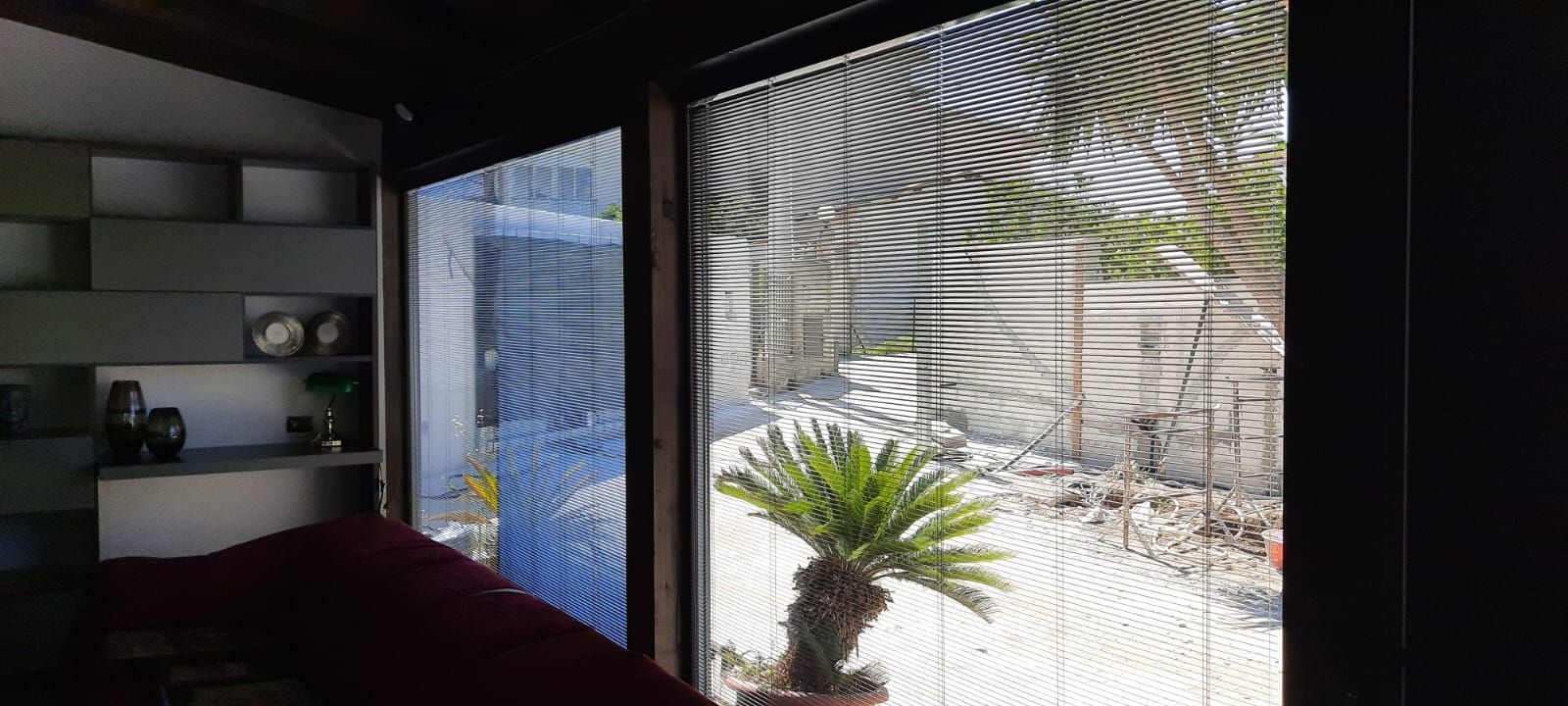 Vista dall'interno di una stanza con una zanzariera che dà su una pianta in un vaso.