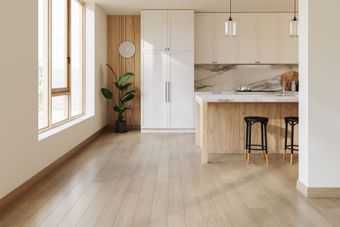 Bright modern kitchen with wood floors, white cabinets, marble counters, and a potted plant near a window