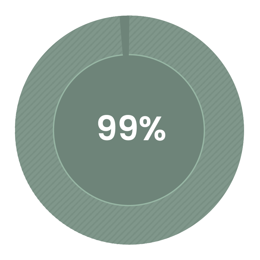 99% completion shown in a green circular progress indicator