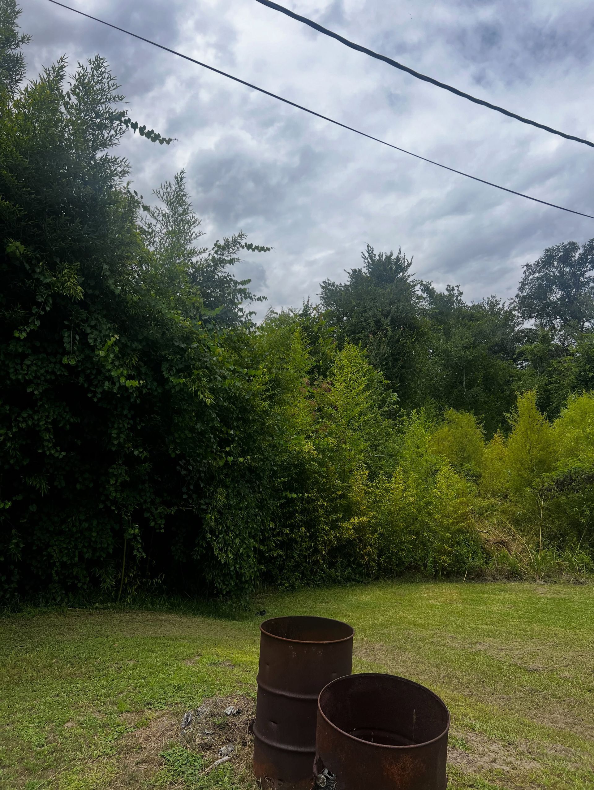 Two rusty barrels on grass near a wooded edge under a cloudy sky