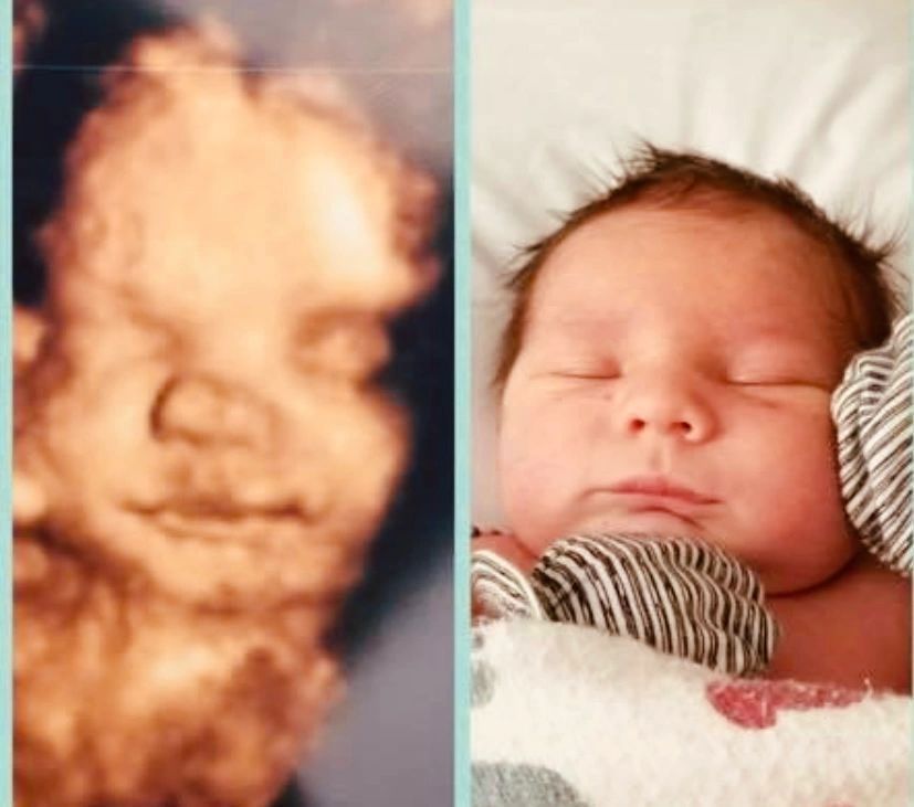 Cozy Baby Sleeping — Greencastle, PA — Baby to Be Boutique