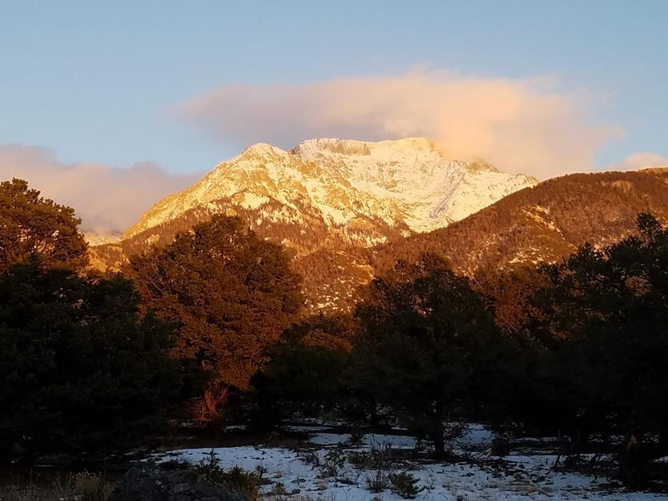 Snow-capped mountain glowing at sunset above dark trees and a snowy foreground at Bodhi's Academy in Colorado