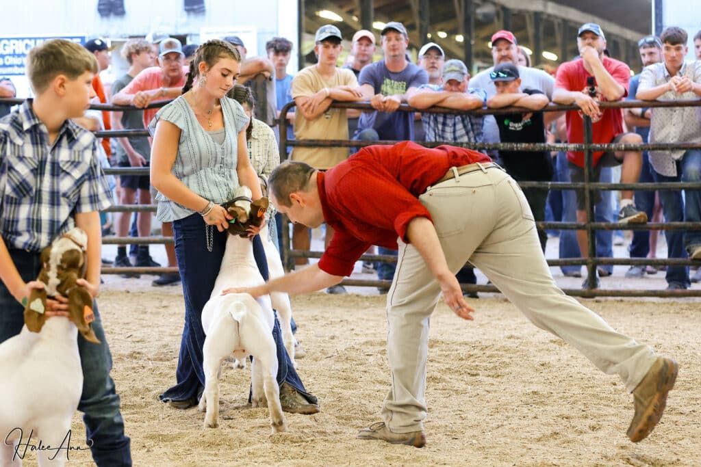 A judge inspects a goat during a livestock show as participants stand nearby in a dirt-floored arena.