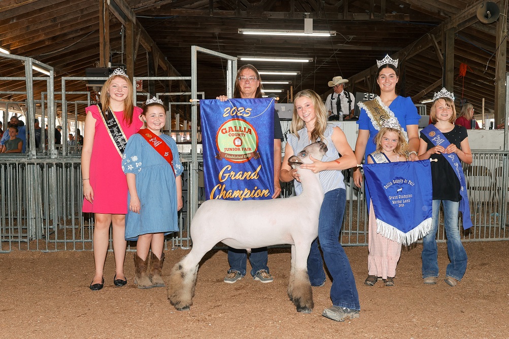 A young person in a blue shirt holds a cow's lead while a speaker with a microphone stands nearby in a show arena.