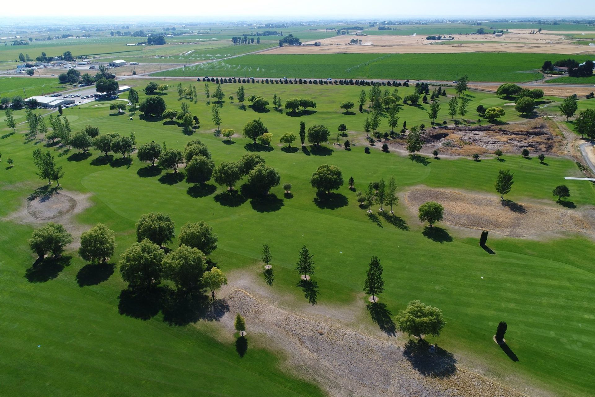 Aerial view of a green agricultural field with scattered trees and dirt paths