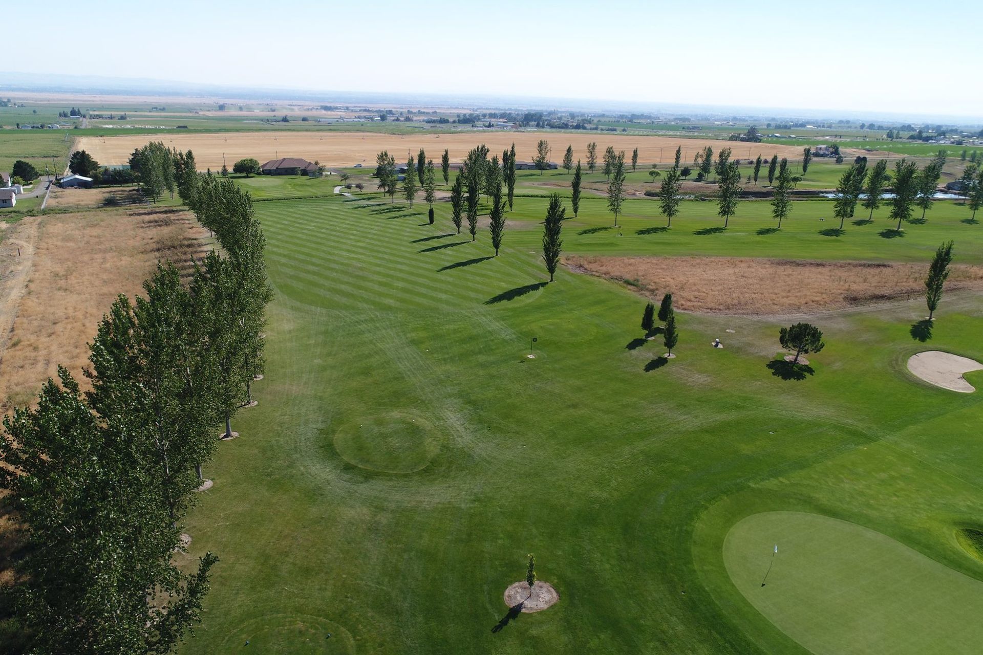 Aerial view of a golf course with green fairways, sand bunkers, and scattered trees beside dry fields
