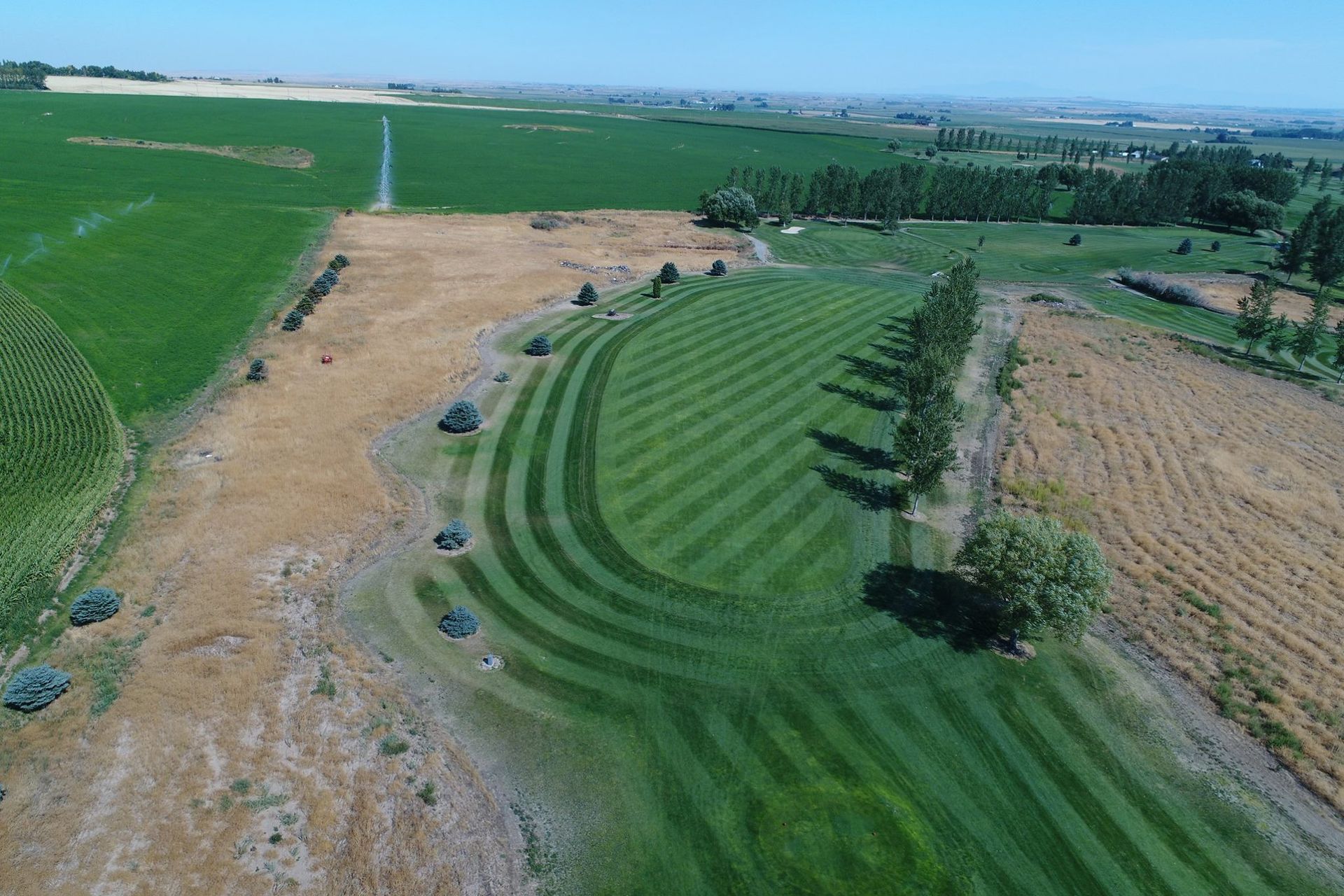 Aerial view of a green striped field beside a dry brown field and trees under a clear sky