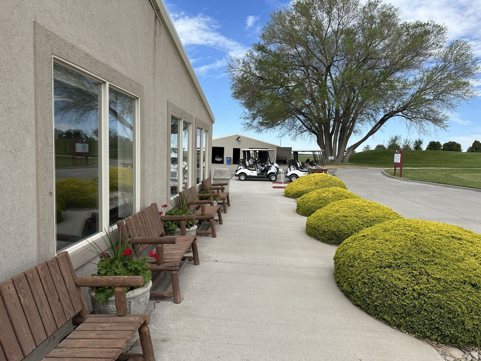 Outdoor walkway beside a building with benches, potted flowers, and manicured shrubs under a large tree.