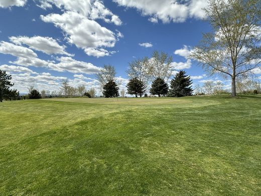 Grassy field under a blue sky with scattered clouds and trees along the horizon