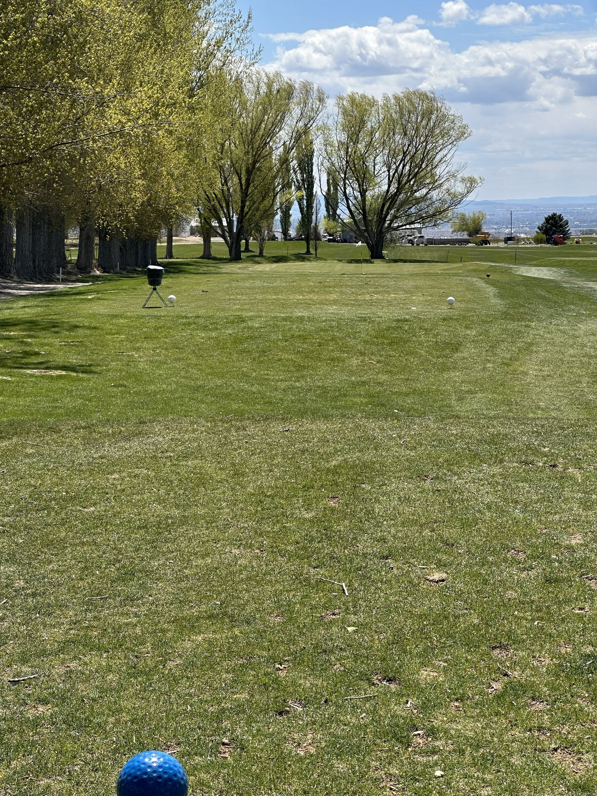 Grassy park with trees and a blue ball in the foreground on a sunny day