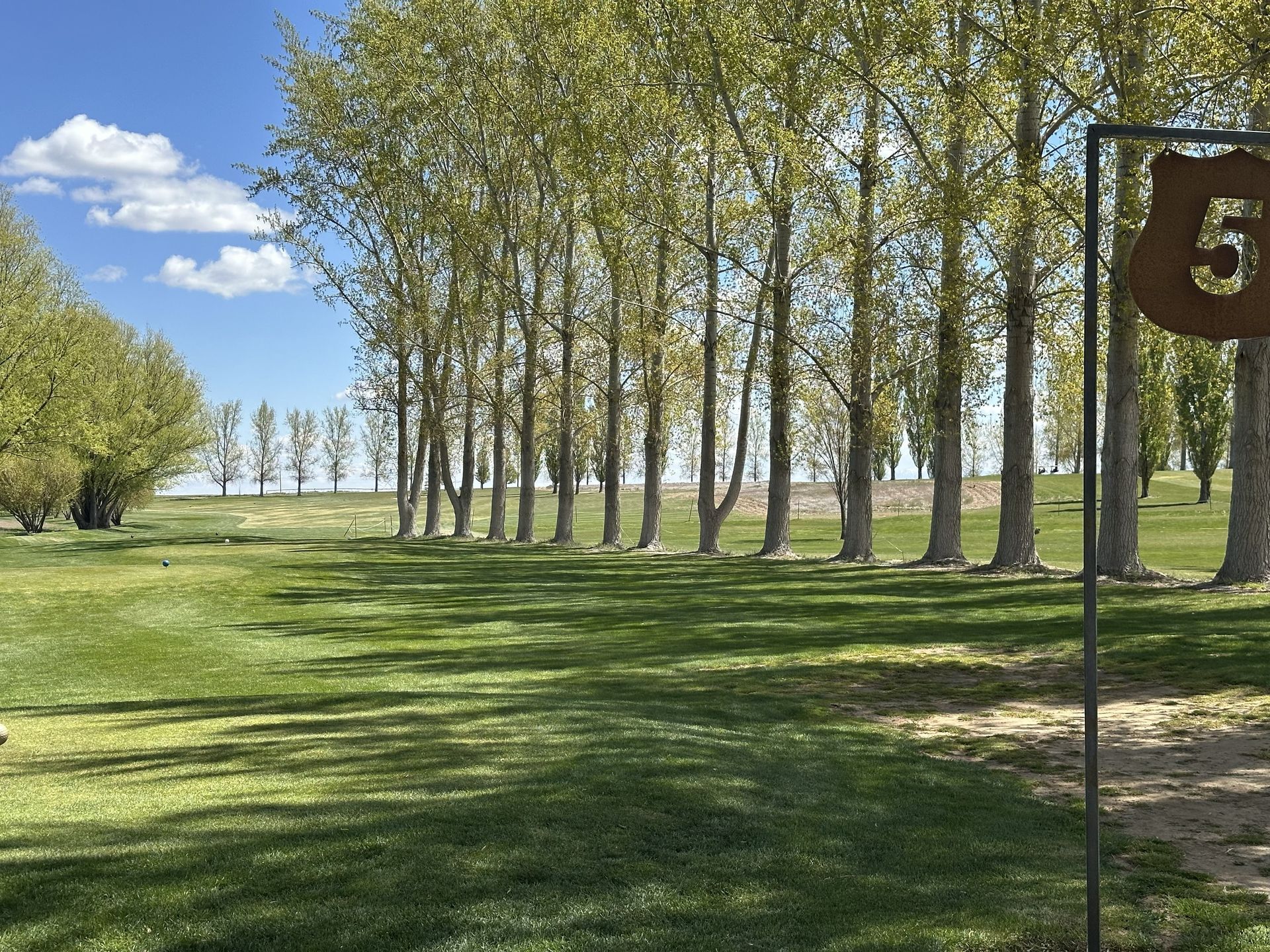 Tree-lined grassy park under a blue sky with scattered clouds, viewed from a path.