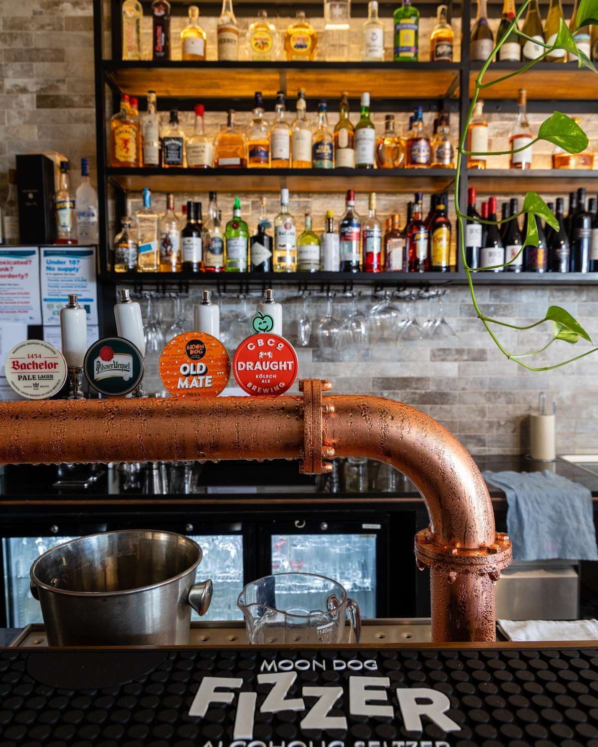 beer and cider on tap at Moorabbin's Wood & Bone Restaurant