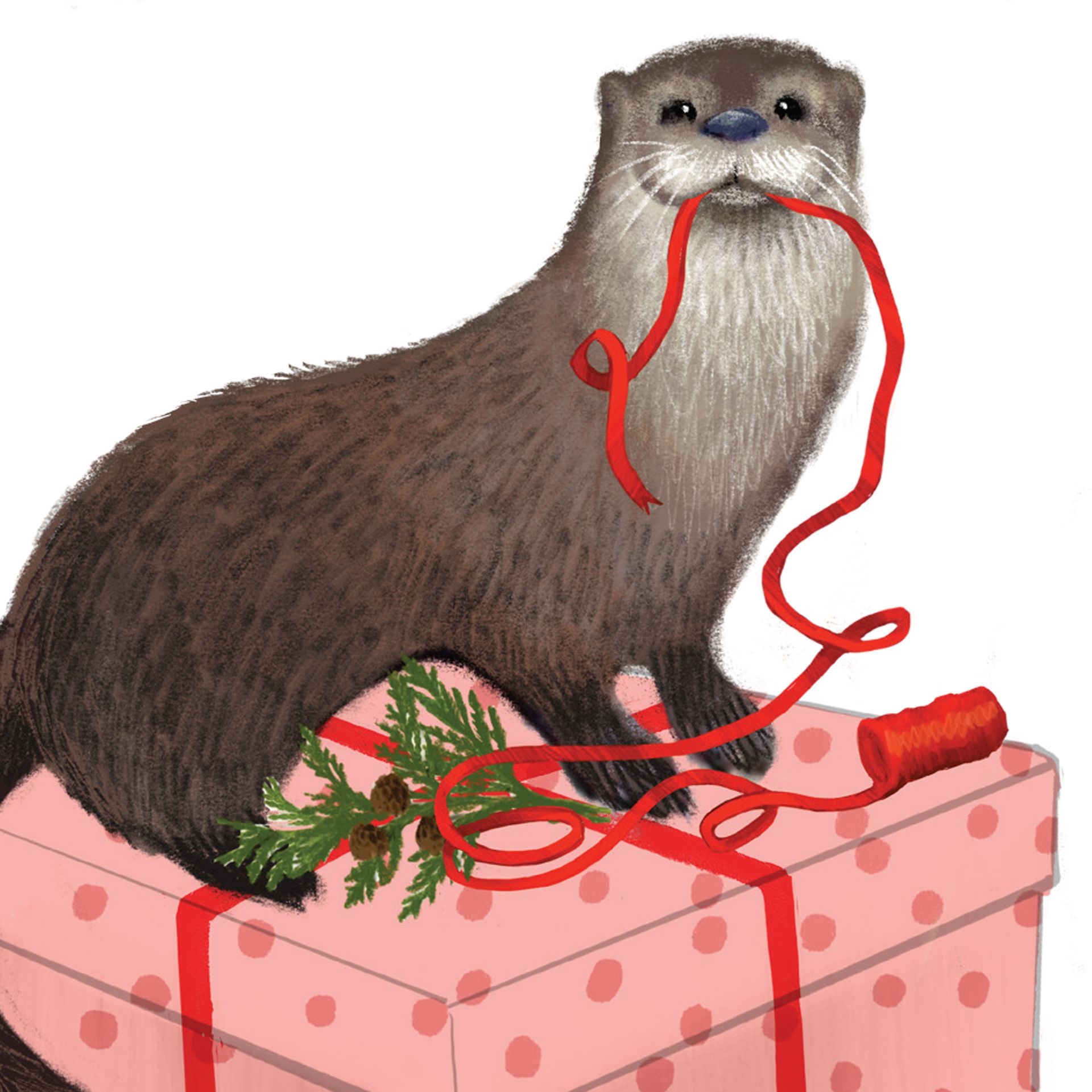 OTTERLY AWESOME Otter Card