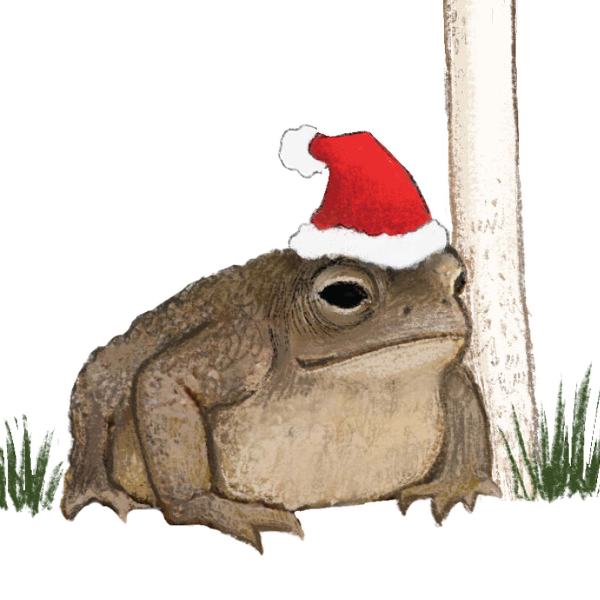 Hoppy Holidays Toad Card