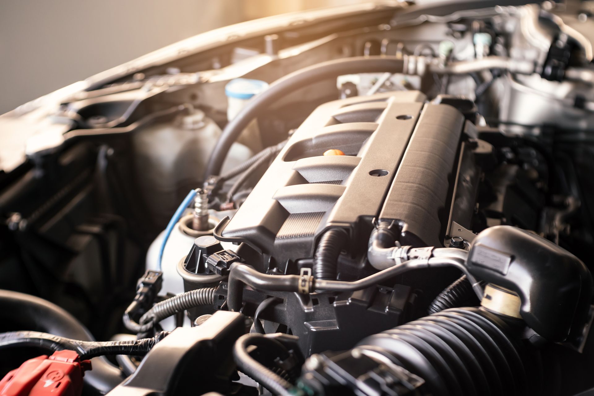 Close-up of a car engine with various black components, hoses, and wiring under the hood. | Rocky Mountain Car Care