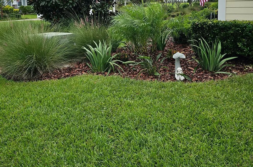 A lush green lawn with a mushroom in the middle of it.