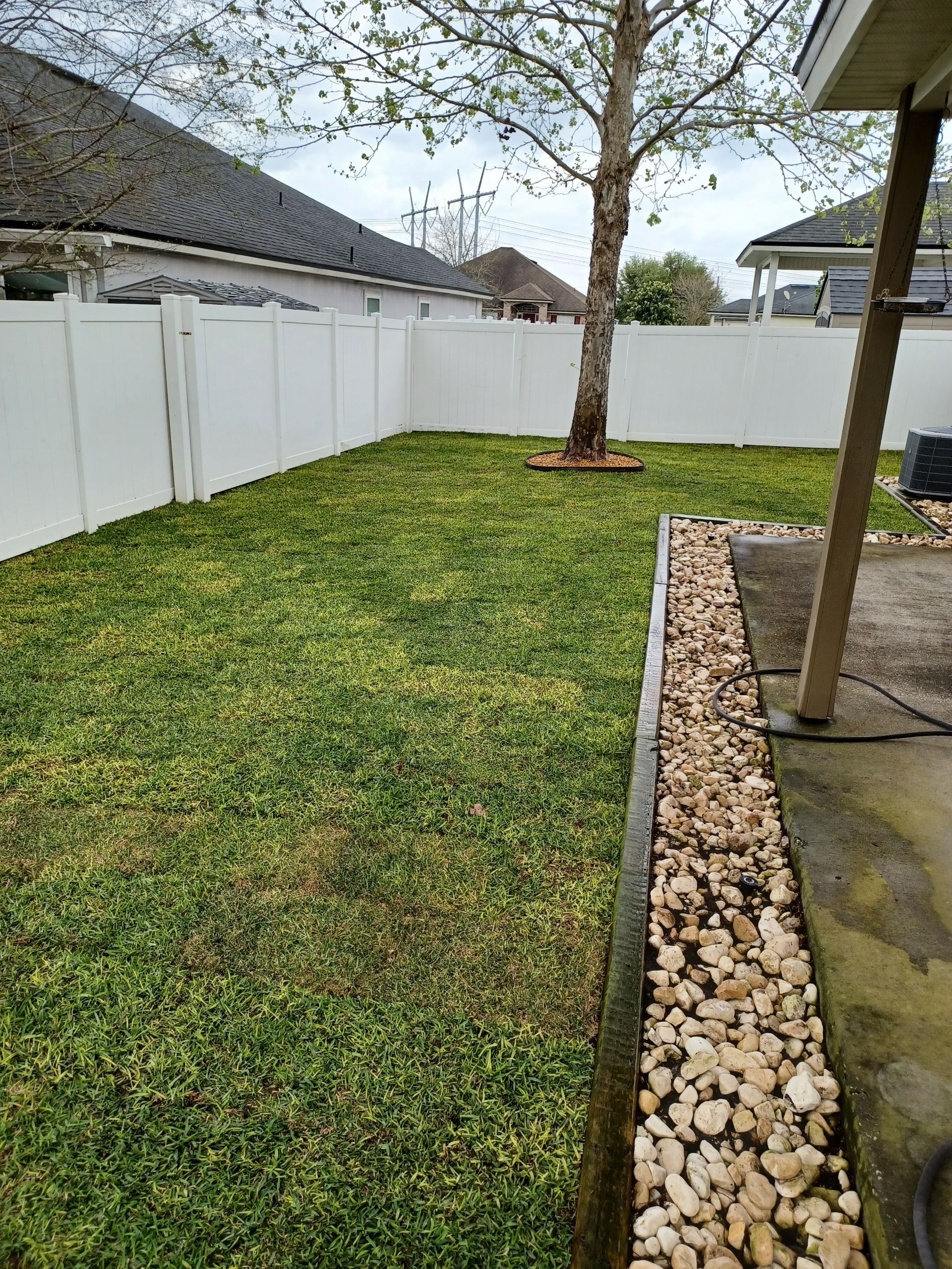 A backyard with a lush green lawn and a white fence.
