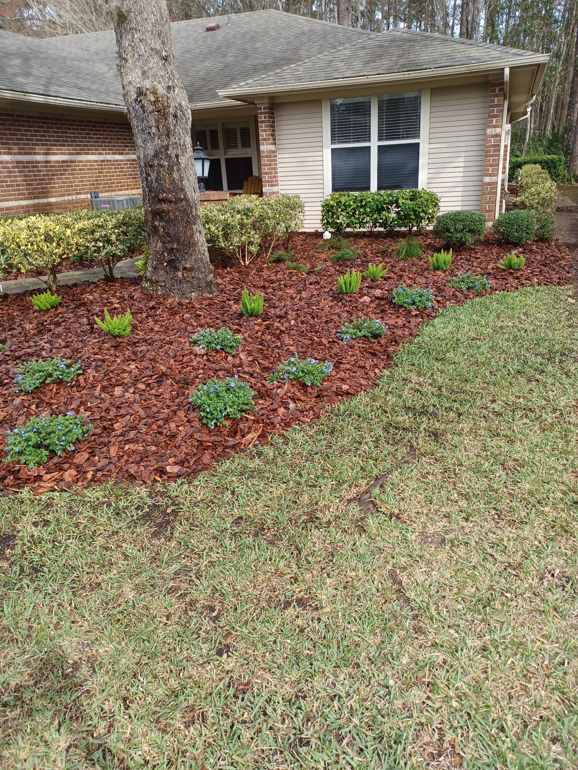 A house with a lot of mulch in front of it