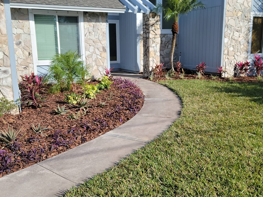 A concrete walkway leading to a house with a lush green lawn.