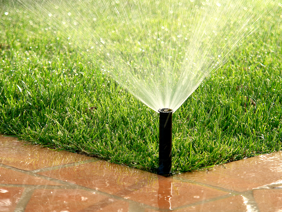 A sprinkler is spraying water on a lush green lawn.