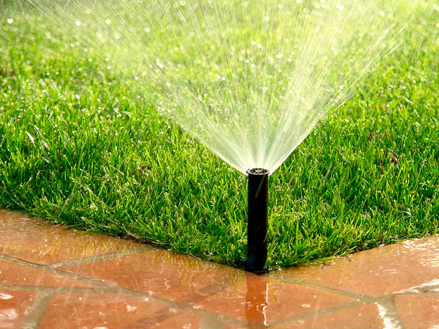 A sprinkler is spraying water on a lush green lawn.