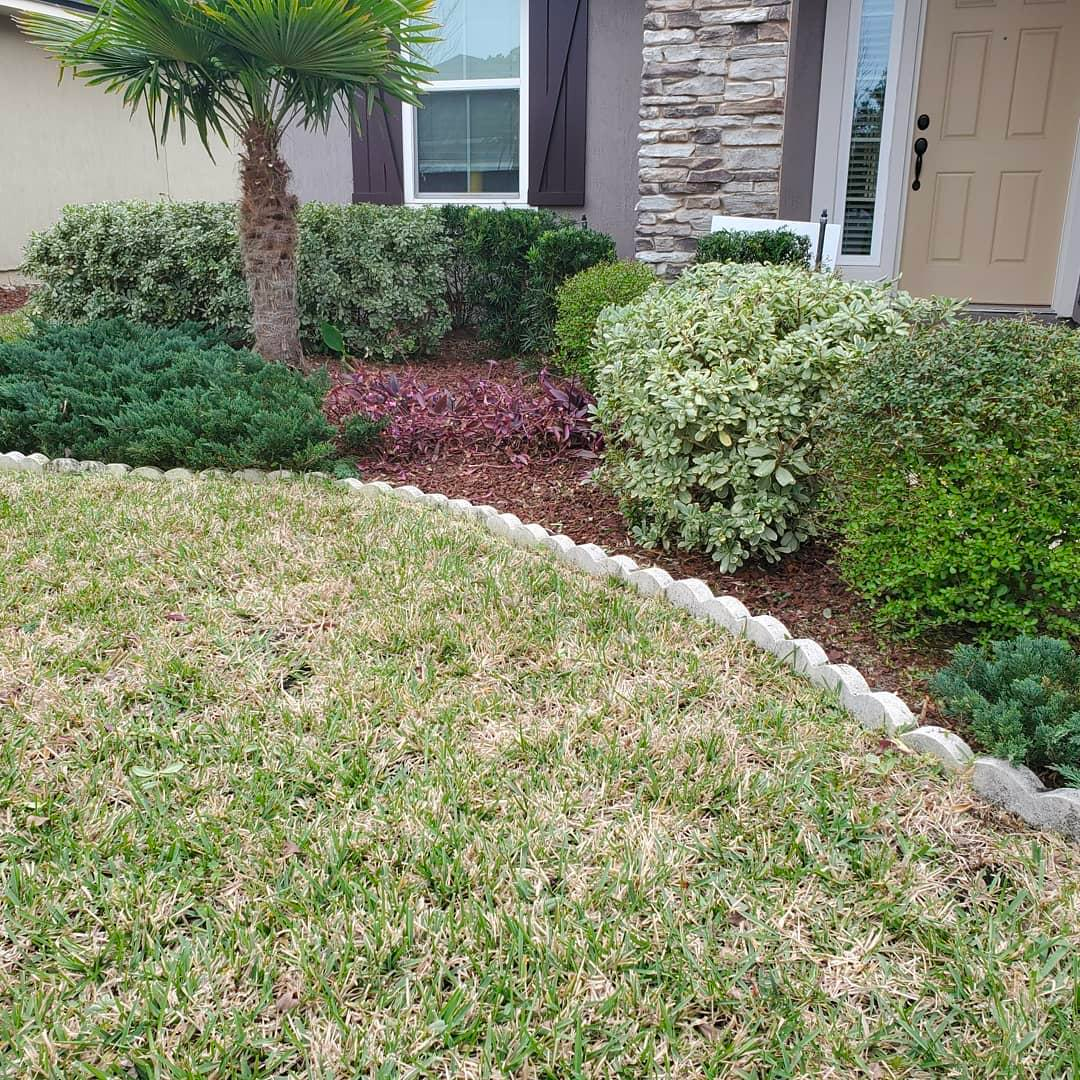 A lush green lawn with a palm tree in front of a house.