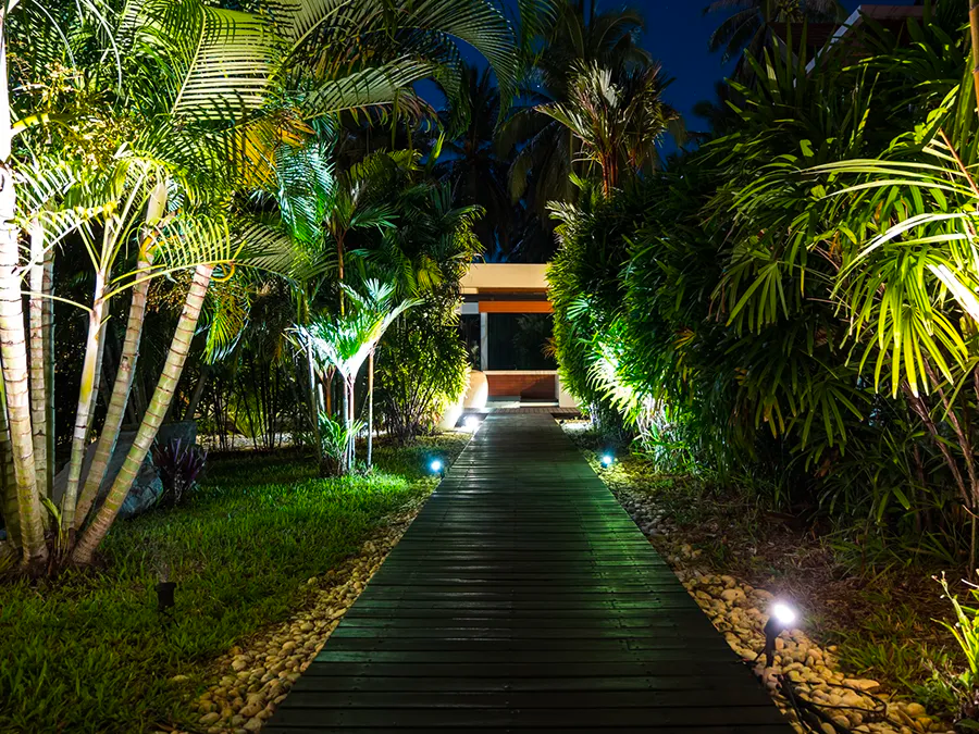 A wooden walkway surrounded by palm trees at night