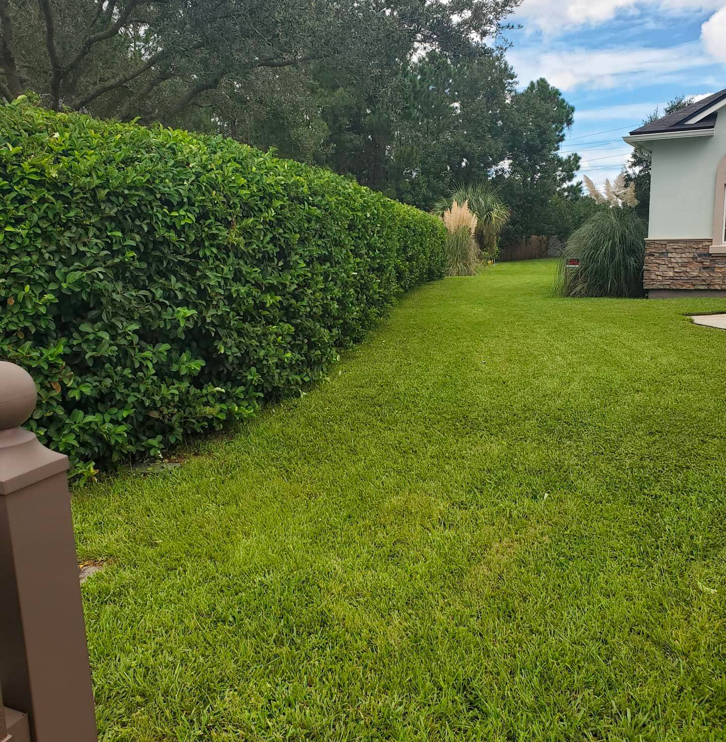 A lush green yard with a fence and a house in the background.