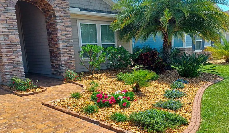 A house with a garden in front of it and a palm tree.