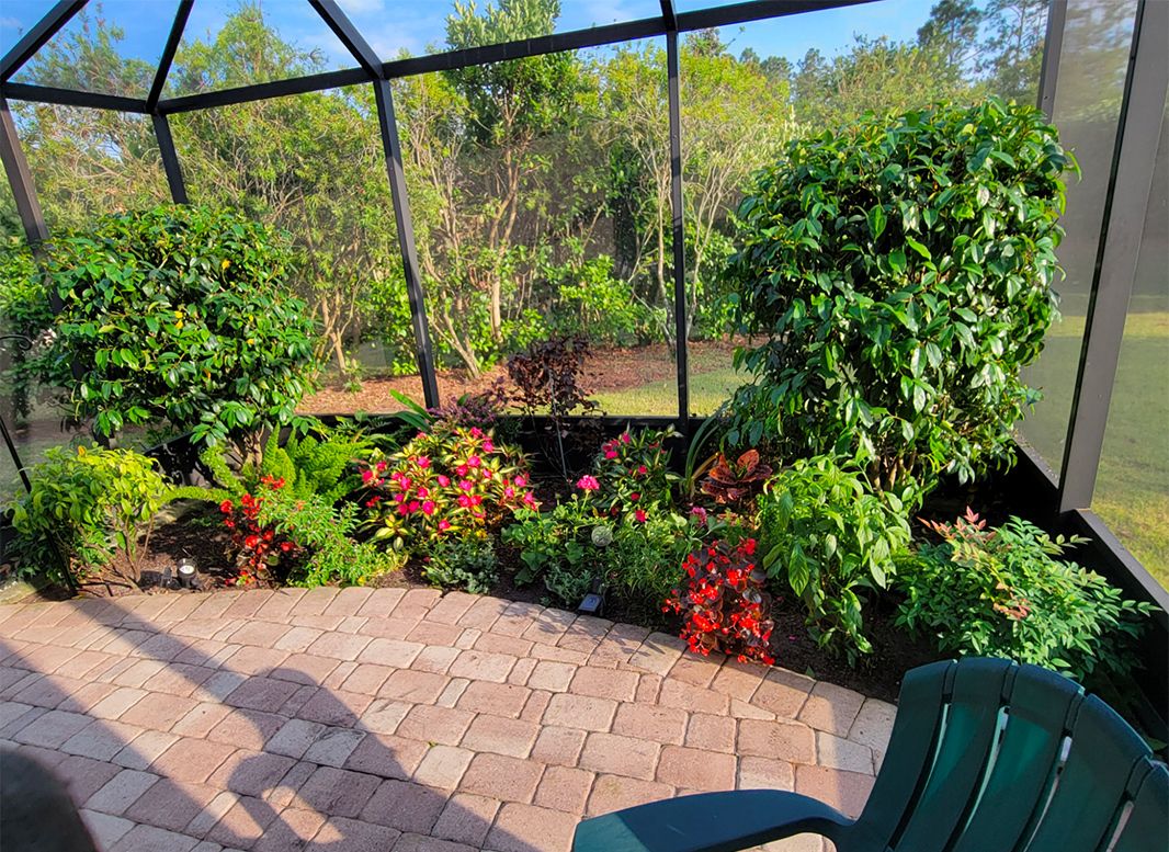 A green chair is sitting on a patio next to a greenhouse filled with lots of plants.