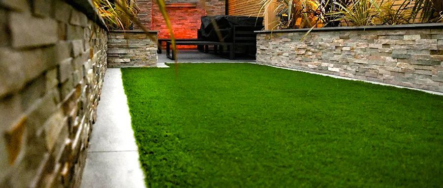 There is a brick wall in the background and a lawn in the foreground.