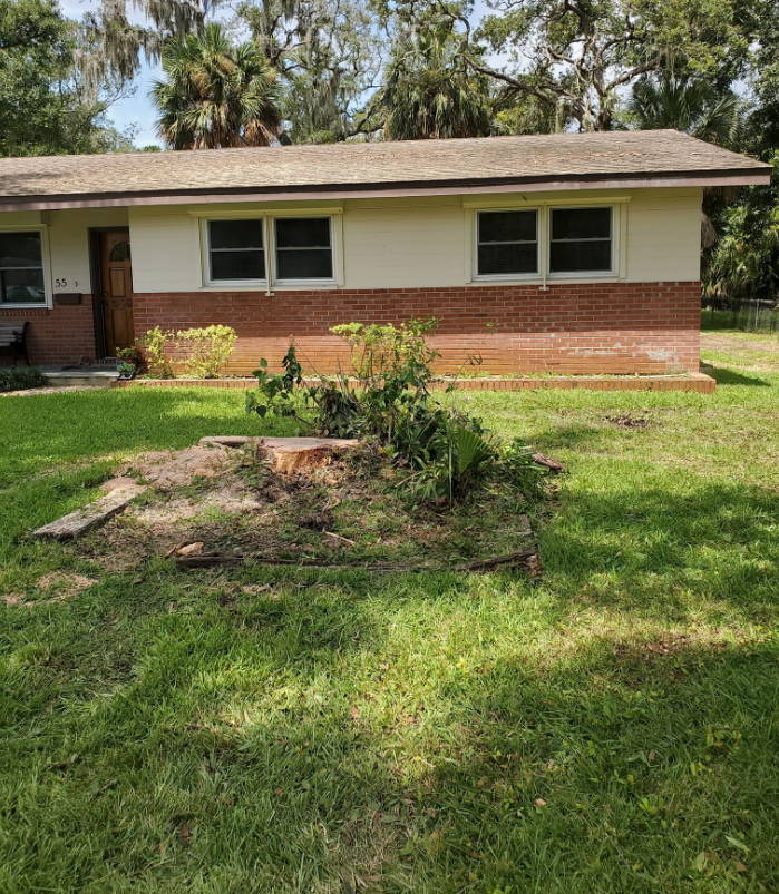 Residential tree service