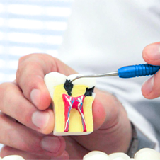 Endodontia