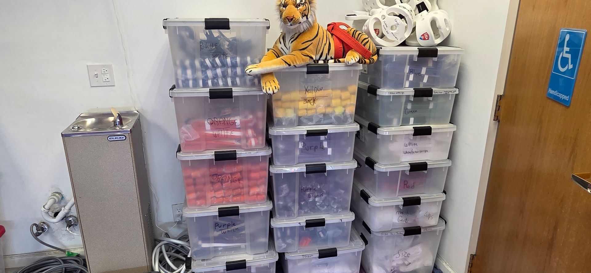 Stacked clear plastic storage bins in a room, with a teddy bear on top and a wooden door at right.