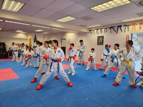karate
