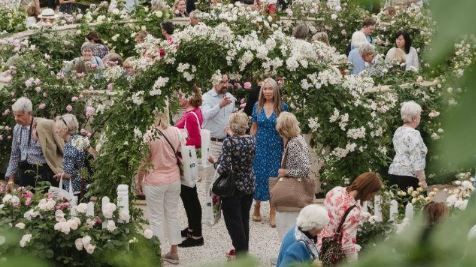 Book your transport to the Chelsea Flower Show with Brookline