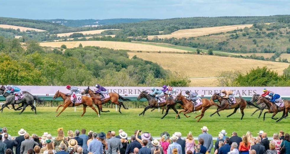 Book your transport to the Goodwood Festival with Brookline