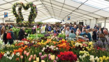 Book your trip to Wimbledon Tennis Championships with Brookline