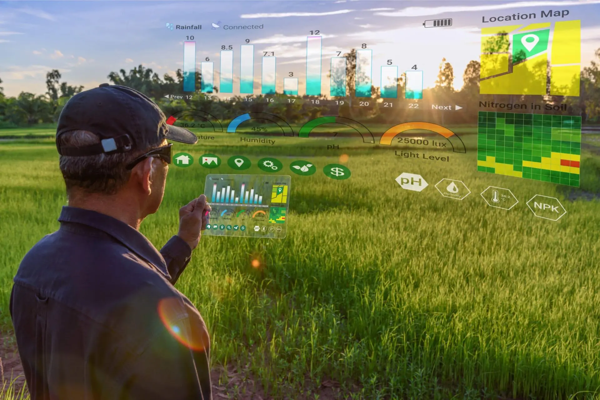 Áreas de atuação do técnico em agronegócios