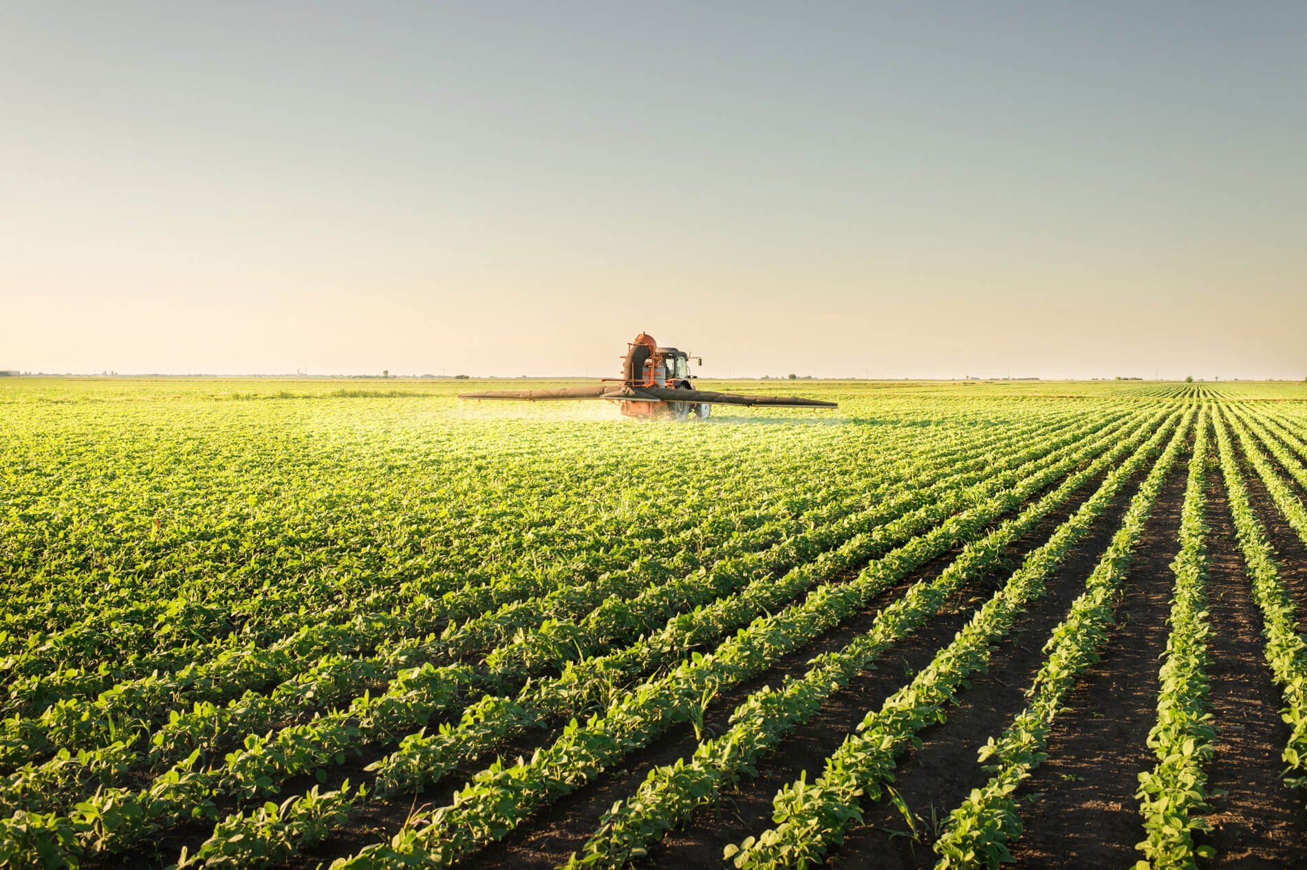 5 Vantagens de fazer um Curso Técnico em Agronegócios
