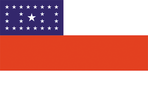 Bandeira do Estado do Amazônas
