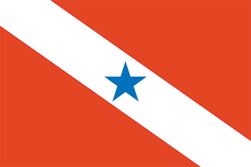 Bandeira do Estado do Pará