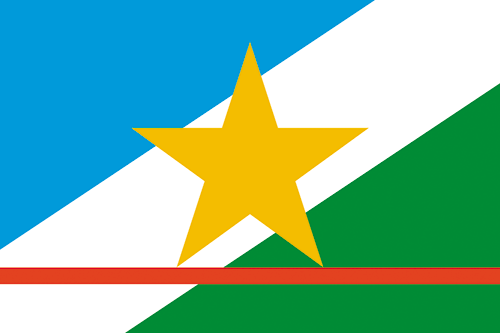 Bandeira do Estado de Roraima
