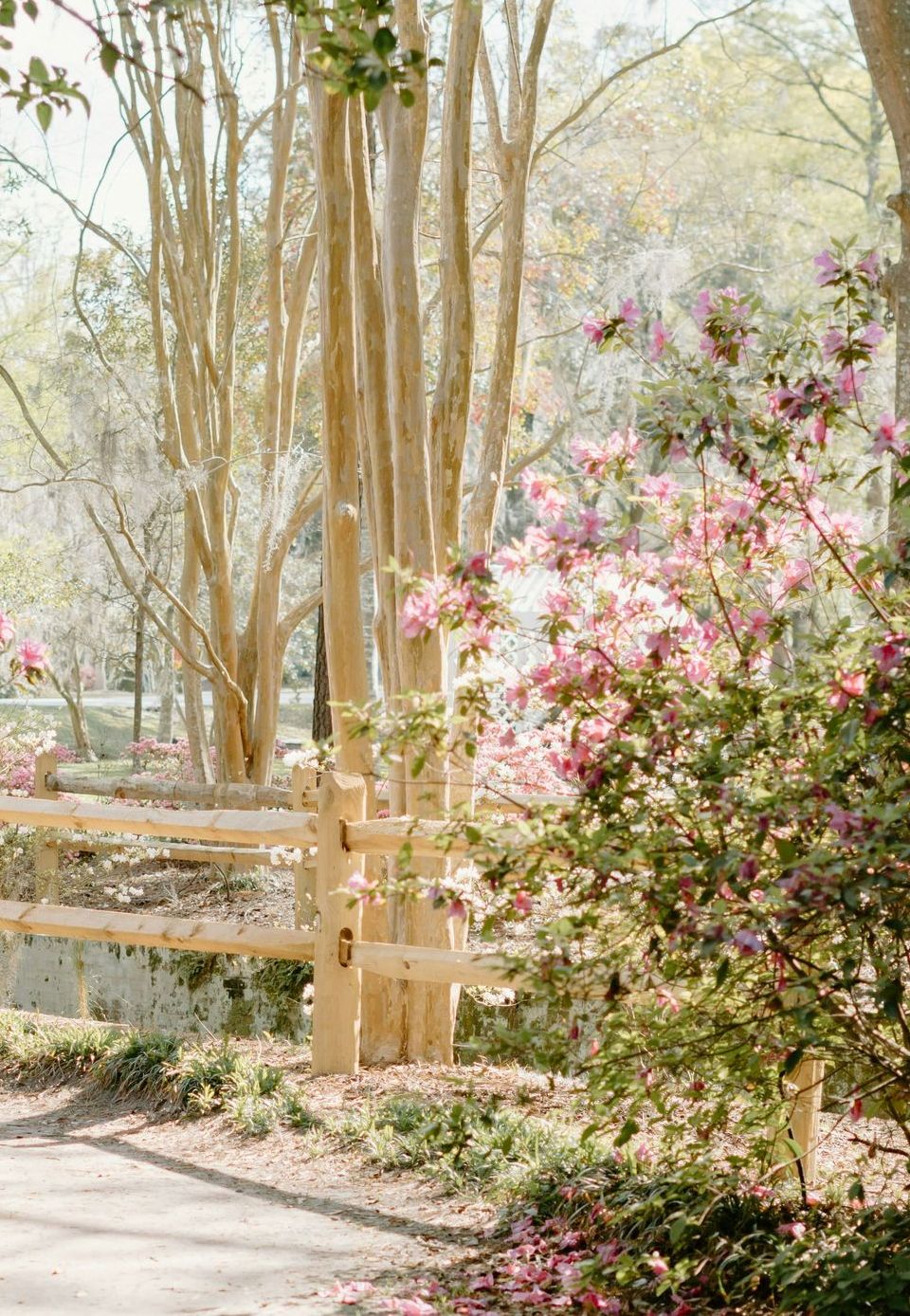 charleston parks relocation