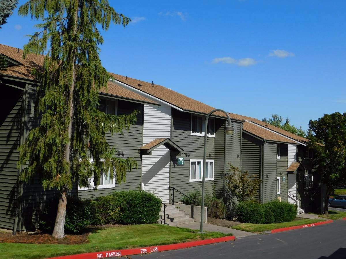 Apartment building with green siding, brown roof, white windows, and a clear blue sky.
